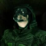 Grey Fox Grey Fox