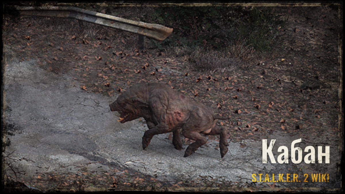 Кабан