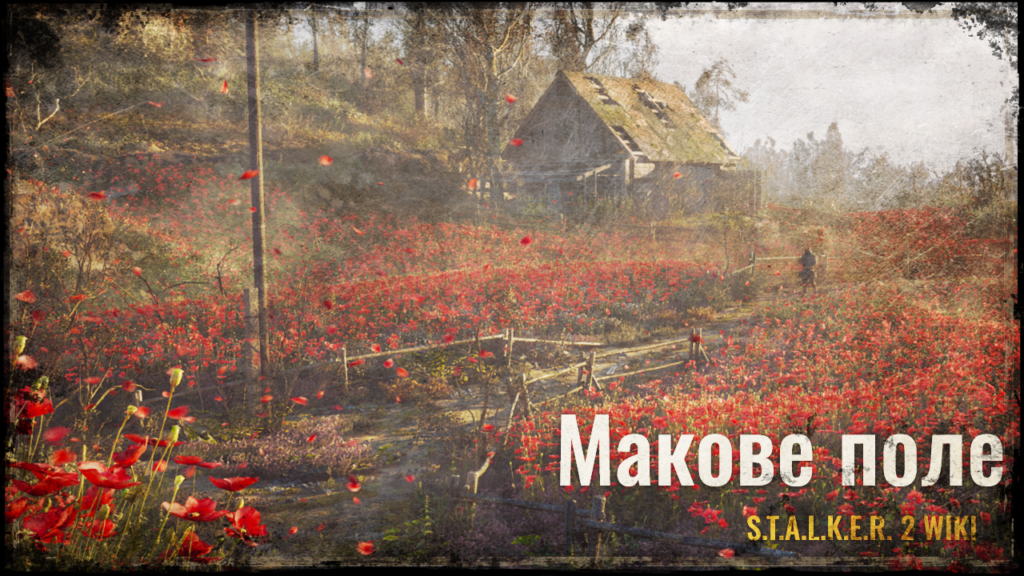Макове поле - Stalker-News