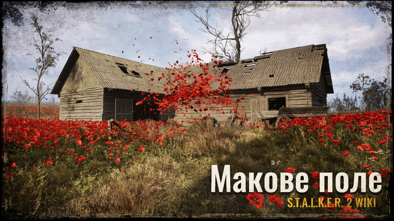 Макове поле