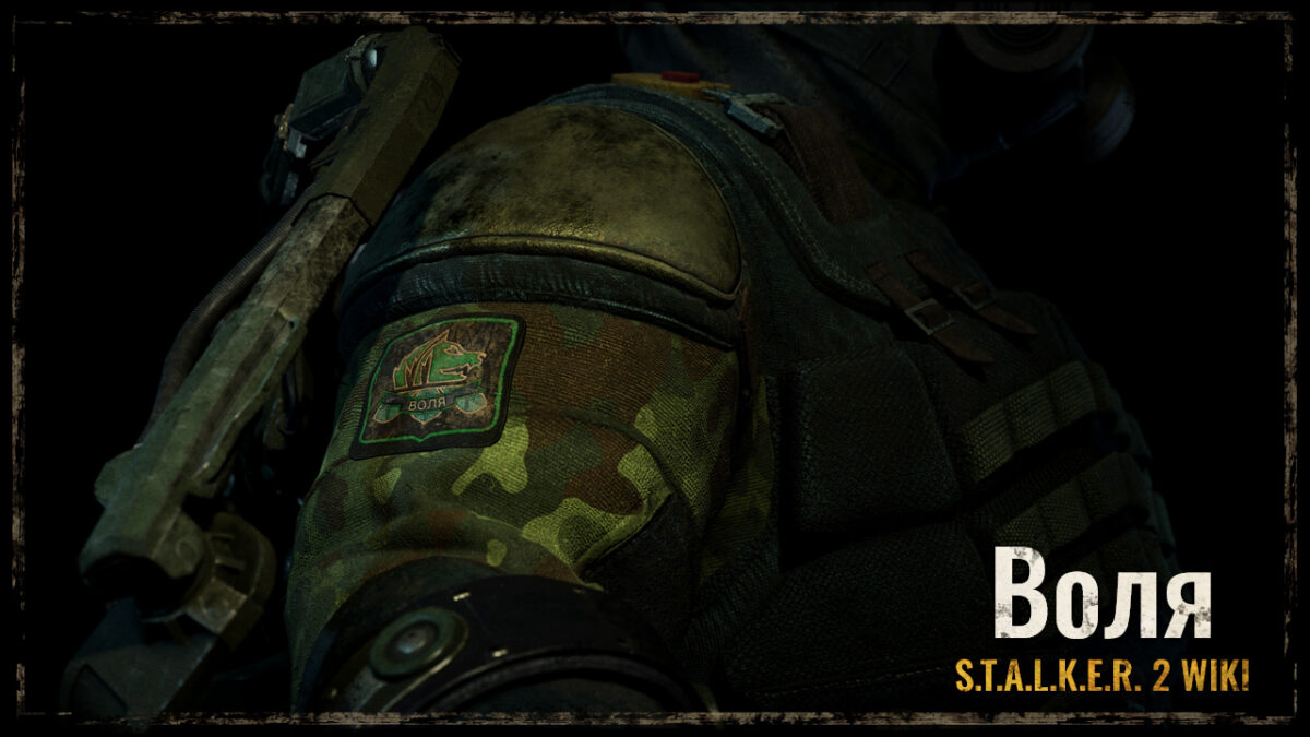 Угруповання “Воля”