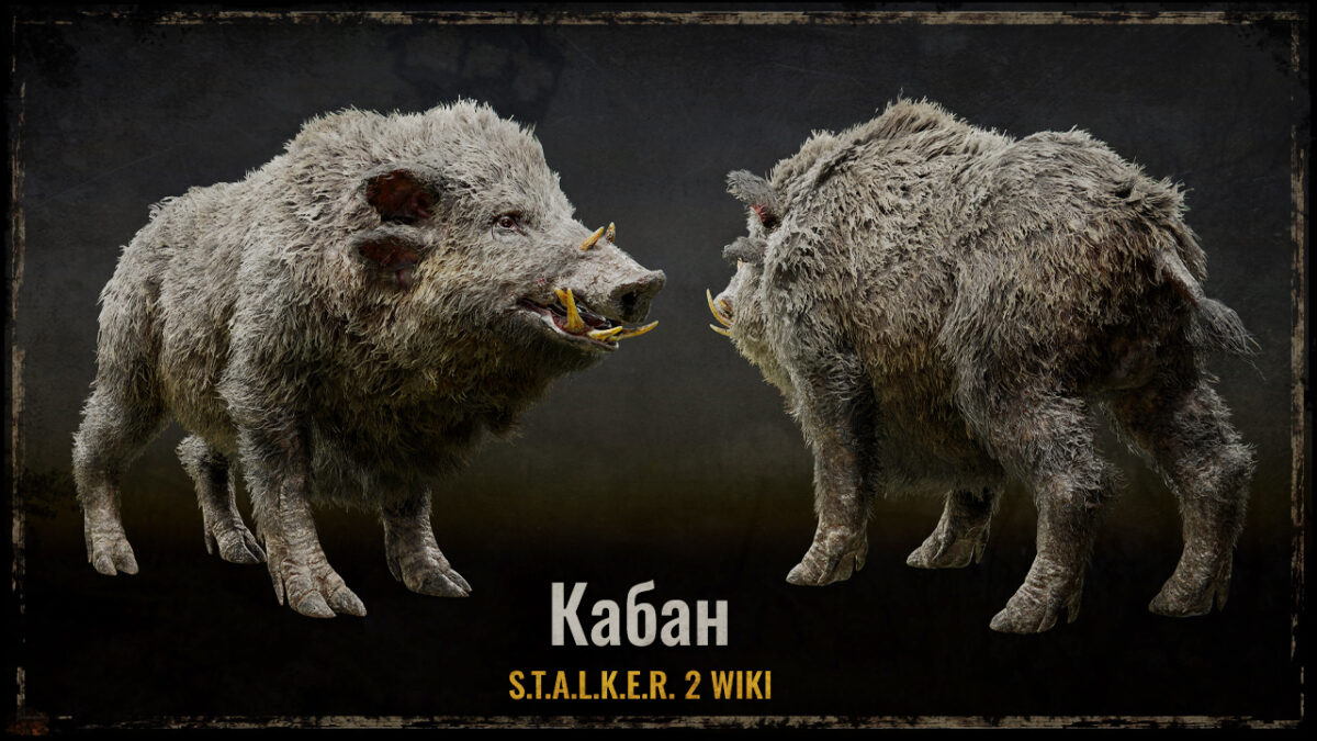Кабан
