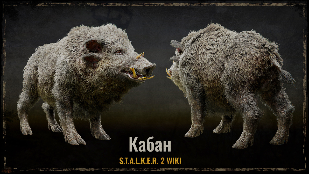 Кабан