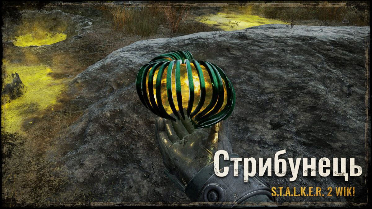 Стрибунець