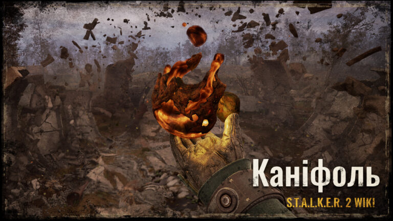Каніфоль