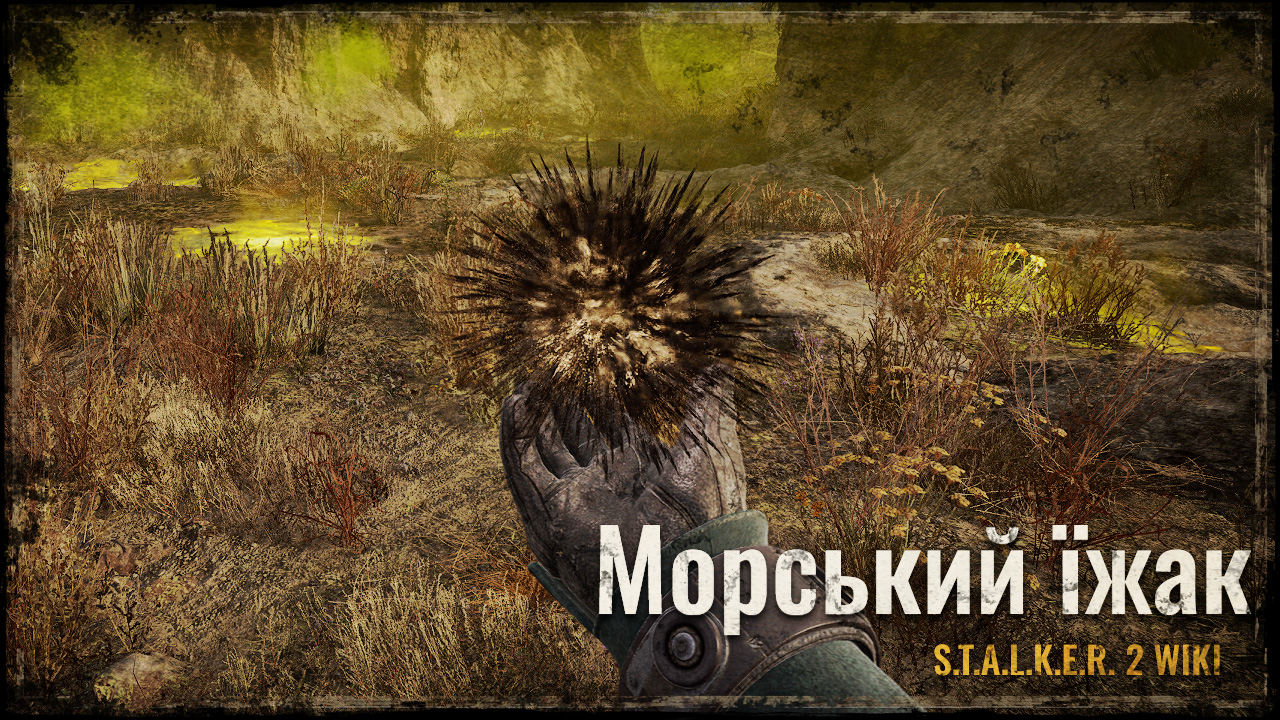 Морський їжак