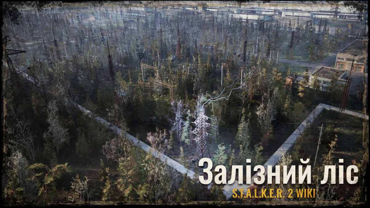 Залізний ліс