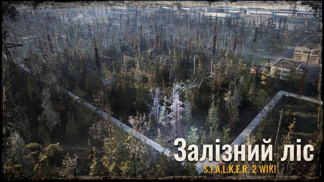 Залізний ліс