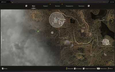 3143 16433204571 3143 16433204571