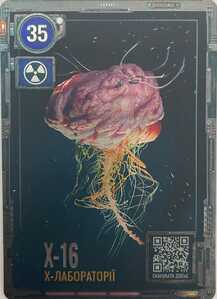 WhatsApp Image 2026 04 15 at 15.12.20 (5)