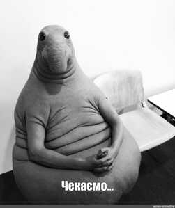 79af565eba2c49a787212ace4d6af0ad