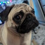 Romu4