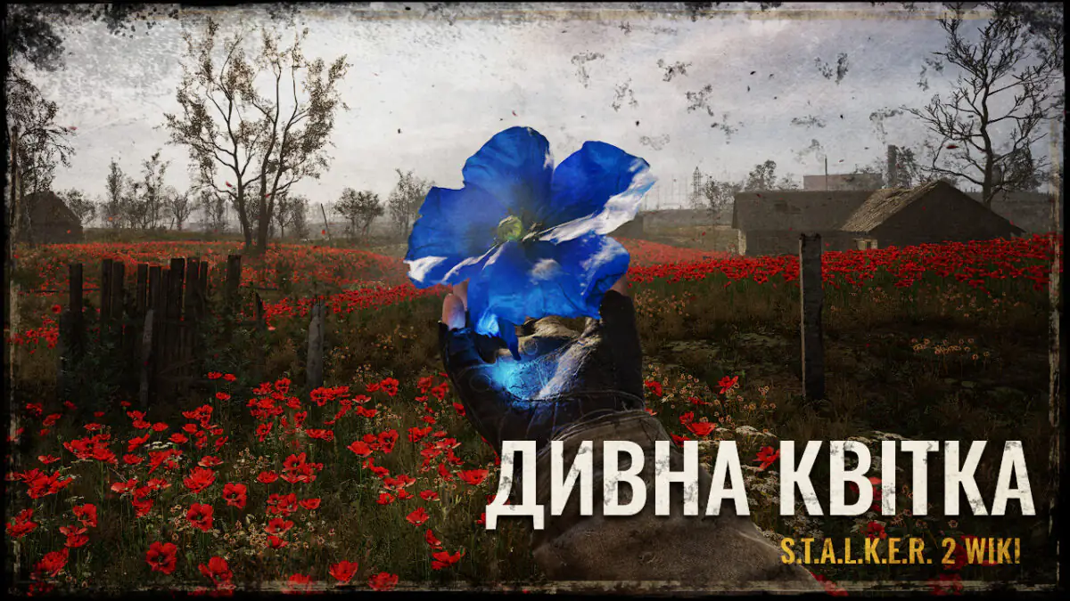 ДИВНА КВІТКА