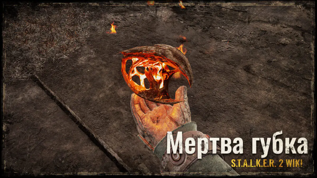 Мертва губка