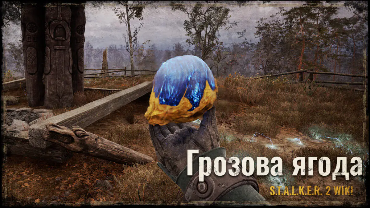 Грозова ягода