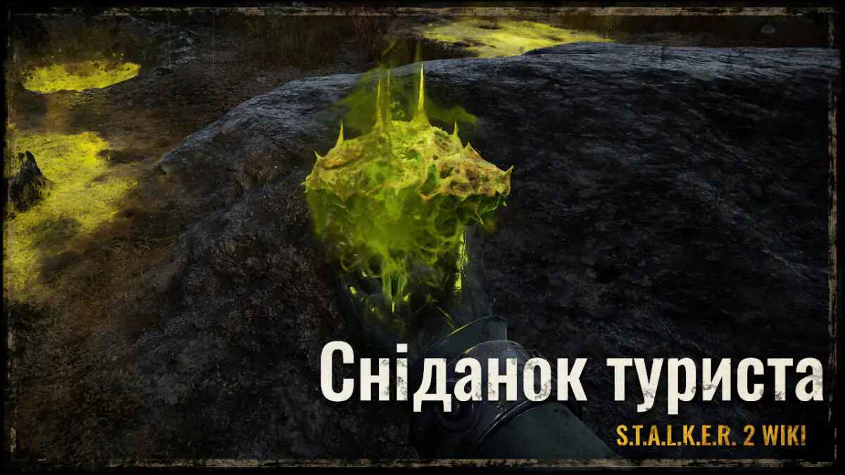 Сніданок туриста