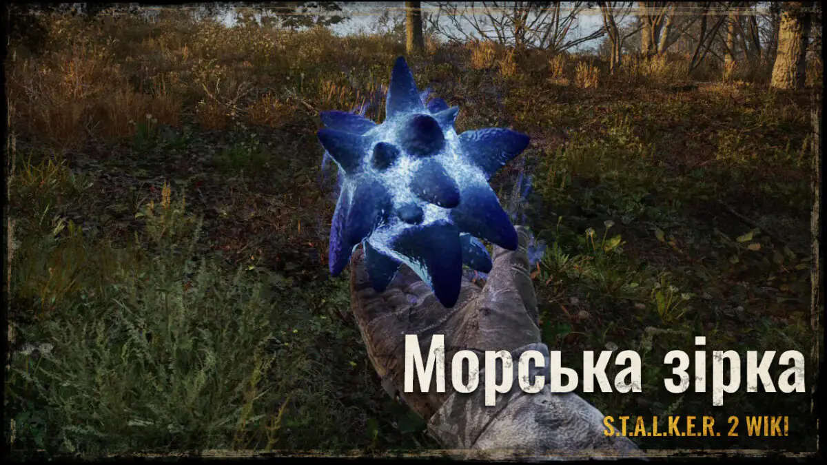 Морська зірка