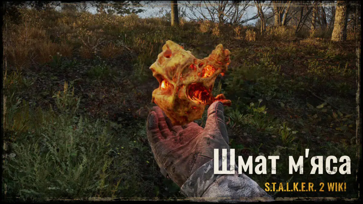 Шмат м’яса